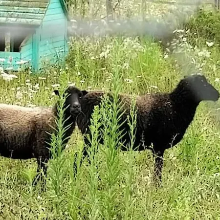 Nid Du Merle Avec Sauna Et Jacuzzi Privatif Septfonds