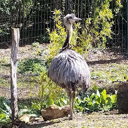 Nid Du Merle Avec Sauna Et Jacuzzi Privatif * Septfonds