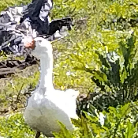 Nid Du Merle Avec Sauna Et Jacuzzi Privatif