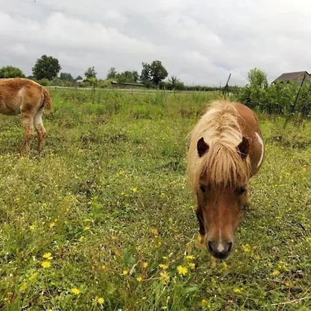 Nid Du Merle Avec Sauna Et Jacuzzi Privatif בית נופש