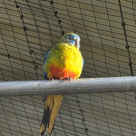 בית נופש Nid Du Merle Avec Sauna Et Jacuzzi Privatif Septfonds