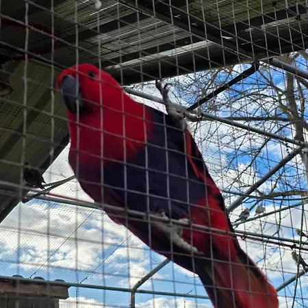 בית נופש Nid Du Merle Avec Sauna Et Jacuzzi Privatif Septfonds