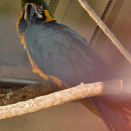 Nid Du Merle Avec Sauna Et Jacuzzi Privatif בית נופש Septfonds