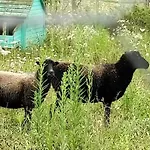 Nid Du Merle Avec Sauna Et Jacuzzi Privatif Septfonds