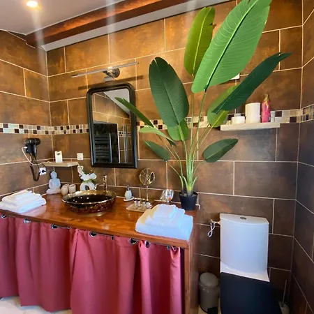 Nid Du Merle Avec Sauna Et Jacuzzi Privatif * Septfonds