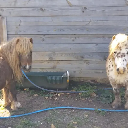 Nid Du Merle Avec Sauna Et Jacuzzi Privatif Tatil Evi Septfonds