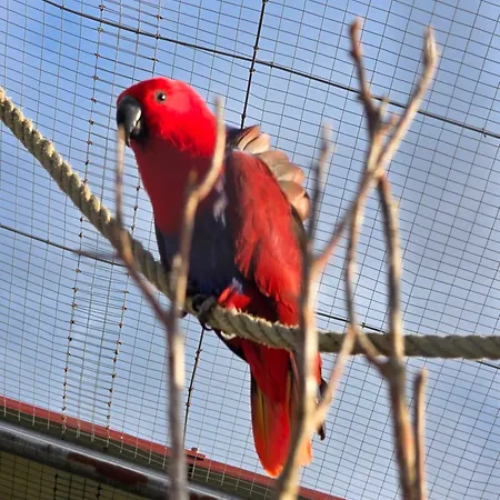 Nid Du Merle Avec Sauna Et Jacuzzi Privatif
