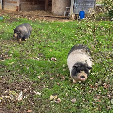 Nid Du Merle Avec Sauna Et Jacuzzi Privatif Tatil Evi Septfonds